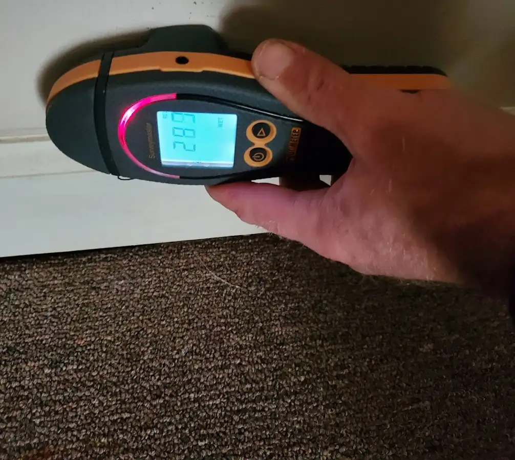 Moisture detection at baseboard during Burst Pipe Cleanup in North Bend